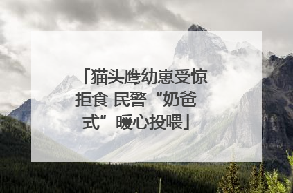 猫头鹰幼崽受惊拒食 民警“奶爸式”暖心投喂