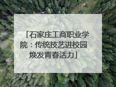 石家庄工商职业学院：传统技艺进校园焕发青春活力