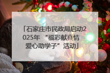 石家庄市民政局启动2025年 “福彩献真情 爱心助学子”活动