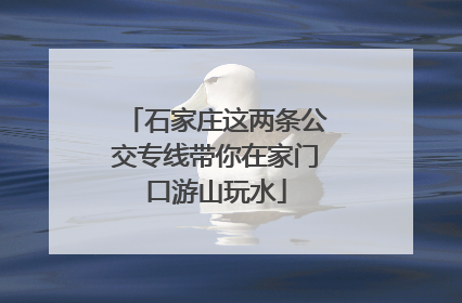 石家庄这两条公交专线带你在家门口游山玩水
