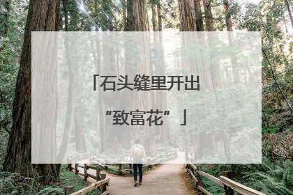 石头缝里开出“致富花”