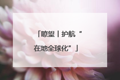 瞭望丨护航“在地全球化”