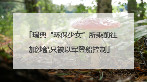 瑞典“环保少女”所乘前往加沙船只被以军登船控制