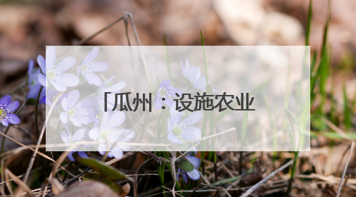 瓜州：设施农业提质增效 促农增收“钱”景无限