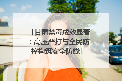 甘肃禁毒成效显著：高压严打与全民防控构筑安全防线