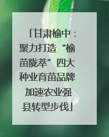 甘肃榆中：聚力打造“榆苗陇萃”四大种业育苗品牌 加速农业强县转型步伐