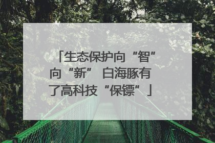 生态保护向“智”向“新” 白海豚有了高科技“保镖”