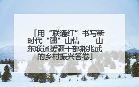 用“联通红”书写新时代“疆”山情——山东联通援疆干部郝兆武的乡村振兴答卷