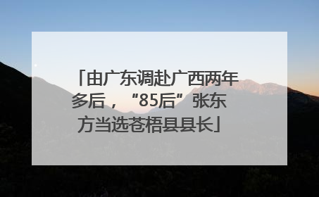 由广东调赴广西两年多后，“85后”张东方当选苍梧县县长