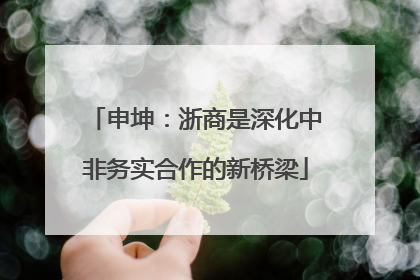 申坤：浙商是深化中非务实合作的新桥梁