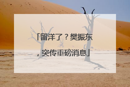 留洋了？樊振东，突传重磅消息