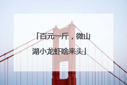 百元一斤，微山湖小龙虾啥来头