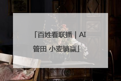 百姓看联播｜AI管田 小麦躺赢