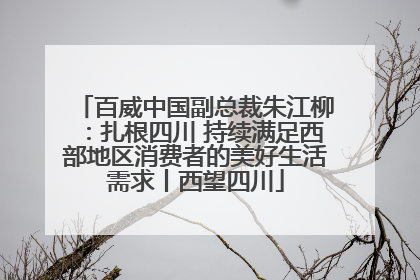 百威中国副总裁朱江柳：扎根四川 持续满足西部地区消费者的美好生活需求丨西望四川
