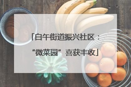 白午街道振兴社区：“微菜园”喜获丰收