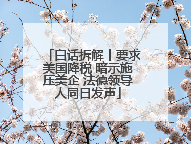 白话拆解丨要求美国降税 暗示施压美企 法德领导人同日发声