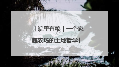 皖里有粮｜一个家庭农场的土地哲学