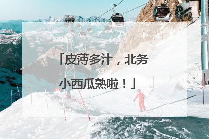 皮薄多汁，北务小西瓜熟啦！