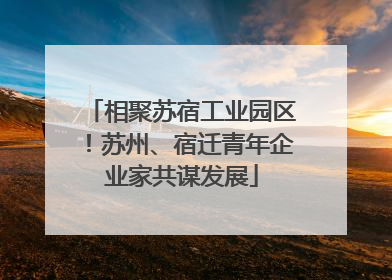 相聚苏宿工业园区！苏州、宿迁青年企业家共谋发展
