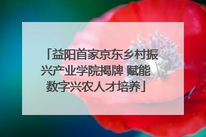 益阳首家京东乡村振兴产业学院揭牌 赋能数字兴农人才培养