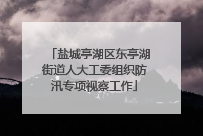 盐城亭湖区东亭湖街道人大工委组织防汛专项视察工作