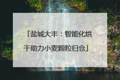 盐城大丰：智能化烘干助力小麦颗粒归仓