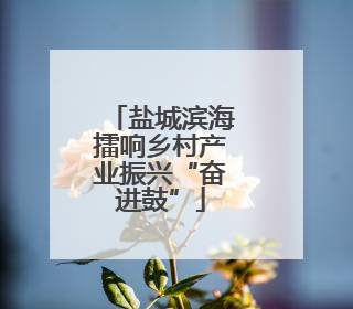 盐城滨海擂响乡村产业振兴“奋进鼓”