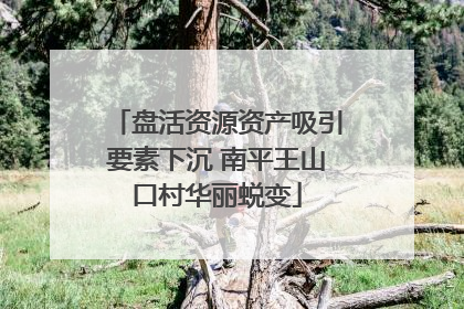 盘活资源资产吸引要素下沉 南平王山口村华丽蜕变