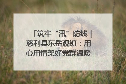 筑牢“汛”防线｜慈利县东岳观镇：用心用情架好党群温暖悠长的“连心桥”