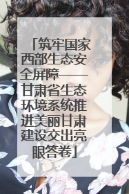 筑牢国家西部生态安全屏障——甘肃省生态环境系统推进美丽甘肃建设交出亮眼答卷