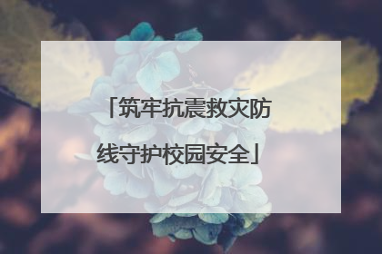 筑牢抗震救灾防线守护校园安全