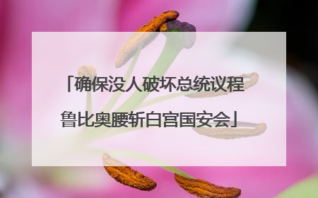 确保没人破坏总统议程 鲁比奥腰斩白宫国安会