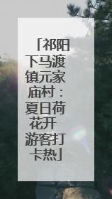 祁阳下马渡镇元家庙村：夏日荷花开 游客打卡热