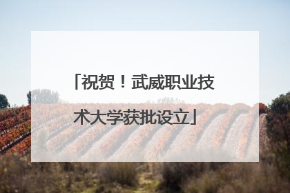 祝贺！武威职业技术大学获批设立