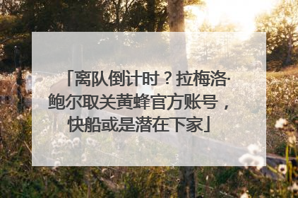 离队倒计时？拉梅洛·鲍尔取关黄蜂官方账号，快船或是潜在下家