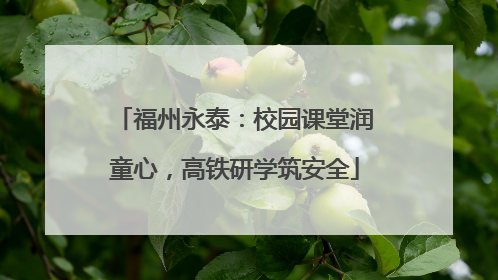 福州永泰：校园课堂润童心，高铁研学筑安全
