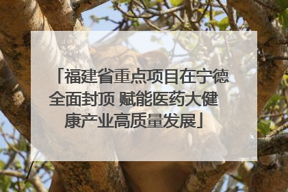 福建省重点项目在宁德全面封顶 赋能医药大健康产业高质量发展