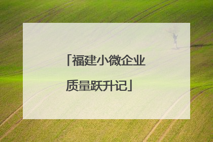 福建小微企业质量跃升记
