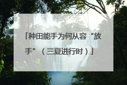 种田能手为何从容“放手”（三夏进行时）