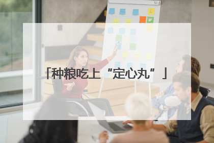 种粮吃上“定心丸”