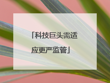 科技巨头需适应更严监管