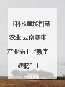 科技赋能智慧农业 云南咖啡产业插上“数字翅膀”