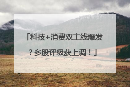 科技+消费双主线爆发？多股评级获上调！