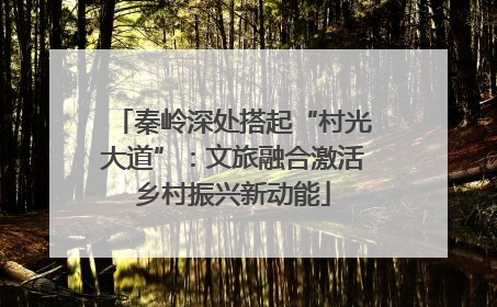 秦岭深处搭起“村光大道”：文旅融合激活乡村振兴新动能