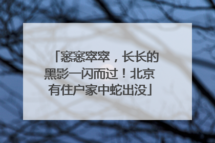 窸窸窣窣，长长的黑影一闪而过！北京有住户家中蛇出没