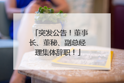突发公告！董事长、董秘、副总经理集体辞职！