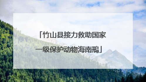 竹山县接力救助国家一级保护动物海南鳽