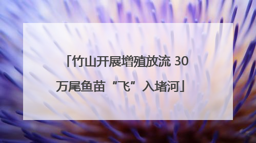 竹山开展增殖放流 30万尾鱼苗“飞”入堵河