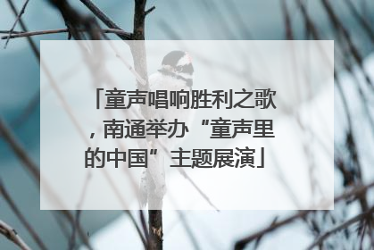 童声唱响胜利之歌，南通举办“童声里的中国”主题展演