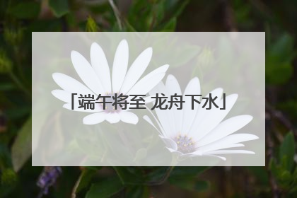 端午将至 龙舟下水